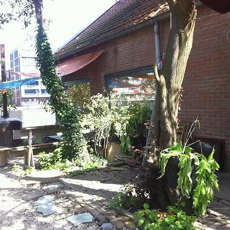 Loft Brand A/d Zaan Bed & Breakfast Zaandam